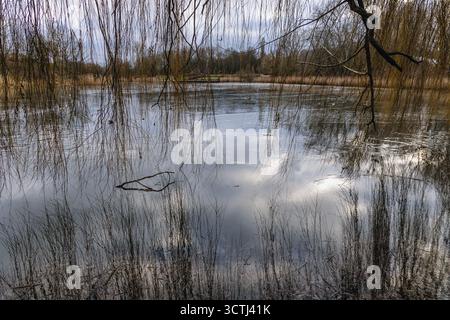 Blick auf einen Teich im Szczesliwice Park im Bezirk Ochota der Stadt Warschau in Polen Stockfoto