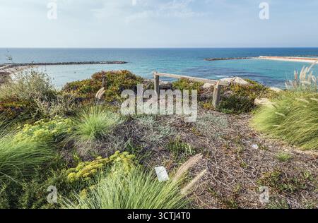 Luftaufnahme vom Independence Park in Tel Aviv City, Israel Stockfoto