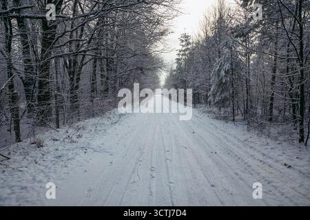 Landstraße im Dorf Rogow, polnische Provinz Lodz Stockfoto