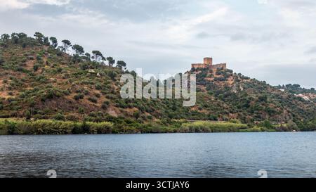 Panoramablick auf den Tejo mit Schloss Belver auf dem Hügel in Belver, Gavião, Portugal. Stockfoto