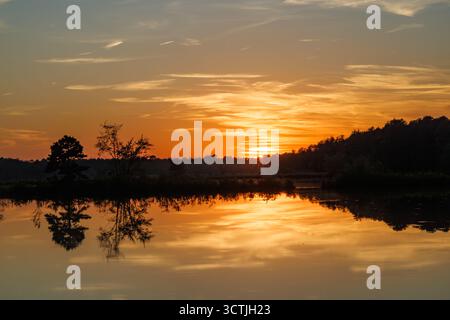 Goldener Sonnenuntergang über einem ruhigen See in Pine Barrens, New Jersey, USA. Bäume spiegeln sich im stillen Wasser unter einem strahlenden Himmel. Stockfoto