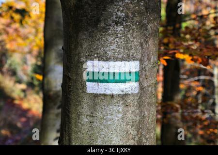 Wanderweg-Marker in Beskid Zywiecki in Polen. Wegschild auf Baum gemalt. Stockfoto