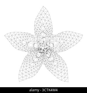 Abstrakte geometrische Sternform, gebildet durch miteinander verbundene Drahtmodelldreiecke, ideal für Technologie, Wissenschaft oder moderne Design-Projekte isoliert auf weißem Hintergrund Vektorillustration Stock Vektor