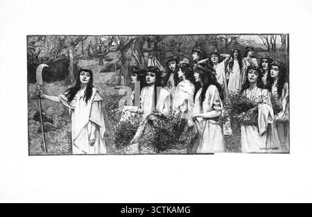 Die Versammlung der Mistel. Private Sammlung. Stockfoto