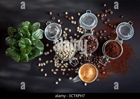 Blick von oben auf die Transformation des Kaffees: Pflanzen, grüne Bohnen, geröstete Bohnen, gemahlener Kaffee und eine frische Espressomasse mit Crema. Stockfoto