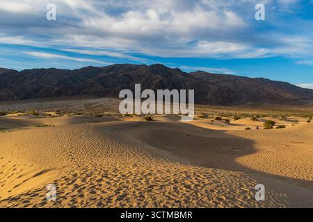 Golden Hour-Entdecker auf Mesquite Flat Sand Dunes mit warmem Sand und weitläufigem Wüstenhimmel im Death Valley. Stockfoto