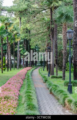 Blick auf einen ruhigen Backsteinweg, flankiert von leuchtenden rosa Blumen und üppigem grünem Gras, der sich durch einen grünen Park im Schatten der hohen Bäume schlängelt, bat Stockfoto