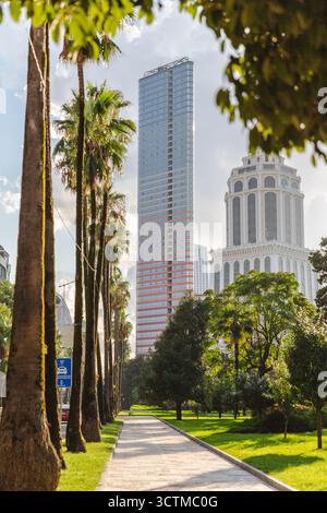 Blick auf die hoch aufragenden Palmen, die einen eleganten Wolkenkratzer und ein verziertes Gebäude umgeben, kontrastieren modernes Glas mit klassischer Architektur, Batumi, Adjara, Georgia. Stockfoto