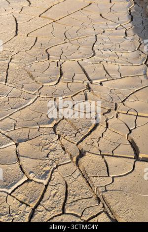 Nahaufnahme des zerrissenen getrockneten Schlammes im Death Valley mit komplizierten Wüstentexturen und natürlicher geologischer Abstraktion. Stockfoto
