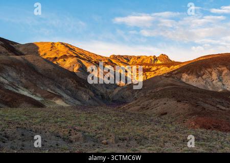 Warme Berge und harte Wüstenpflanzen im Death Valley mit felsigem Vordergrund und mehrschichtigen Frühlingsstrukturen unter blauem Himmel. Stockfoto