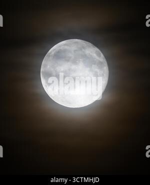 Bridport, Dorset, Großbritannien. Oktober 2025. Wetter in Großbritannien. Der Vollmond des Harvest Moon scheint durch die hohen Wolken, die sich über Bridport in Dorset verbergen. Dieser Monat Vollmond ist der erste von drei Supermonden in den letzten drei Monaten des Jahres 2025. Bildnachweis: Graham Hunt/Alamy Live News Stockfoto