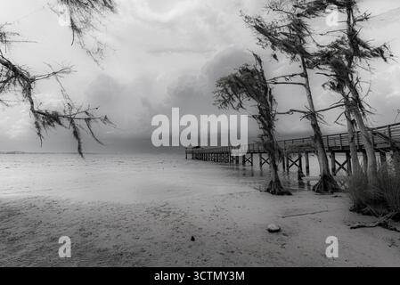 Moody Black And White Coastal Pier Scene Mit Windigen Bäumen Und Stürmischen Wolken Stockfoto