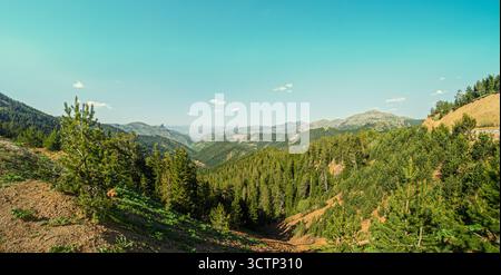 Panoramablick auf das Bergtal von der Türkei aus. Ein Bergtal mit dichten Kiefernwäldern unter einem klaren blauen Himmel. Outdoor-Abenteuer und landschaftlich reizvolles lan Stockfoto