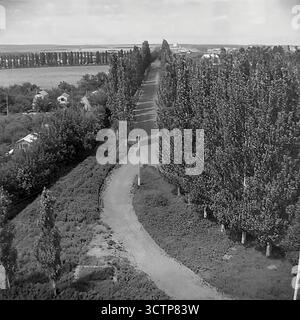 Ein Hochwinkel-Archivfoto aus den 1970er Jahren, das eine malerische Aussicht vom Artema-Mikrodistrikt in Sloviansk, ukrainische SSR, UdSSR, zeigt. Die Kamera blickt auf eine gewundene Feldstraße, die zu einer lokalen Fischzucht (rybkhoz) führt. Die Straße wird von einer dichten, dramatischen Gasse mit hohen Pappelbäumen eingerahmt, ein klassisches Merkmal der sowjetischen Landschaftsgestaltung. Darunter liegen kleine ländliche Häuser inmitten des Grüns, und die weite, flache Landschaft erstreckt sich bis zum Horizont. Dieses nostalgische Bild fängt die friedliche Grenze zwischen Stadtentwicklung und Landschaft ein Stockfoto
