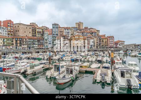 Fischerhafen von Bermeo mit bunten Gebäuden, Baskenland Spanien, Hafen mit Booten, Küstenstadt, Marina, Uferpromenade, Fischerdorf Stockfoto