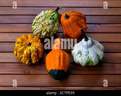 Ein Stillleben mit bunten dekorativen Kürbissen und Kürbissen in Orange, Grün und weiß auf einer Holzoberfläche angeordnet. Konzept für Herbsternte, rustikale Wohnkultur und Erntedanksaison. Stockfoto