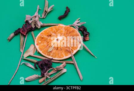 Getrocknete Orangenscheibe und Kräuter auf grünem Hintergrund. Stilllebensaufnahme einer getrockneten Orangenscheibe umgeben von verschiedenen getrockneten Kräutern auf grünem Hintergrund. Perfe Stockfoto
