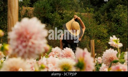 Eine Frau, die einen stilvollen Strohhut trägt, steht anmutig inmitten eines lebendigen Feldes voller schöner Blumen Stockfoto
