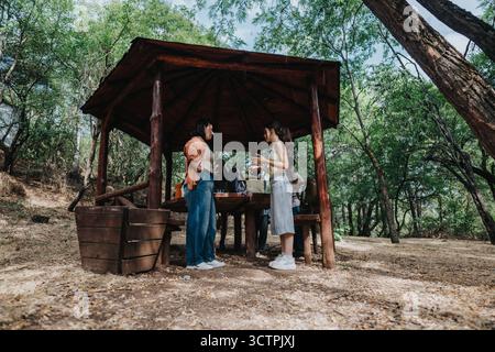 Freunde treffen sich in einem rustikalen Holzpavillon in einem Park zu einem zwanglosen Treffen im Freien Stockfoto