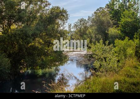 Sonnenlicht durchströmt die Bäume und beleuchtet den ruhigen Fluss, der das lebhafte Grün entlang seiner Ufer reflektiert und eine friedliche Morgenstimmung zeigt Stockfoto