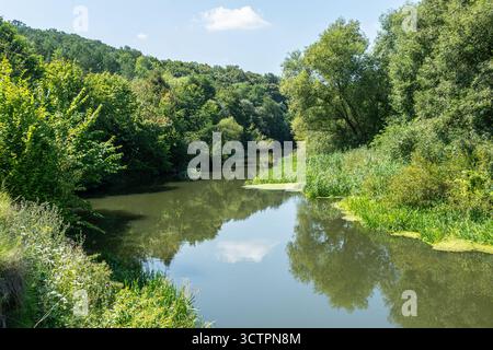 Der ruhige Fluss fließt sanft durch dickes Grün und reflektiert den hellblauen Himmel und die flauschigen Wolken und schafft eine ruhige natürliche Landschaft mitten in der Stadt Stockfoto