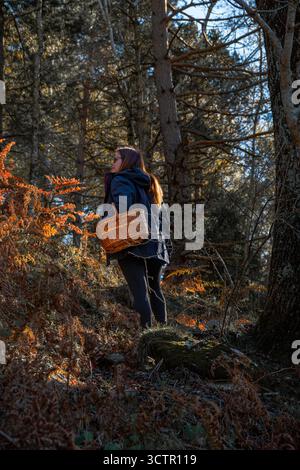 Junge Frau, die Pilze mit einem gewebten Korb unter hellem Sonnenlicht in einem Herbstwald pflückt. Stockfoto