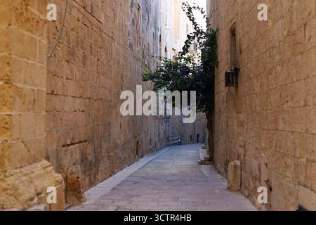 Leere, schmale, stimmungsvolle Kopfsteinpflasterstraße zwischen hohen Kalksteinbauten in Mdina, der stillen Stadt auf Malta Stockfoto