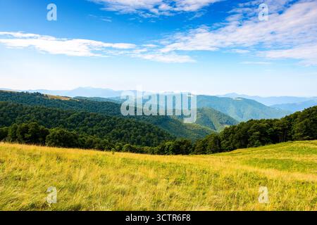 Üppige Almwiesen im Sommer. Grüne karpaten-Berglandschaft unter blauem Himmel. Wunderschöner offener Blick in das ferne Tal. Majestätische Landschaft o Stockfoto