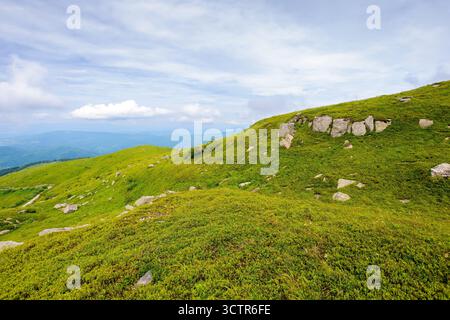 Atemberaubende Berglandschaft mit massiven Felsen auf Almwiesen im Sommer. Wunderschöne Natur der karpaten. Dramatische Landschaft mit Hügeln und Gr Stockfoto