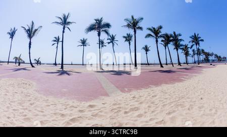 Palmen Silhouttes auf Strand Sandpromenade eine abstrakte Urlaubslandschaft. Stockfoto