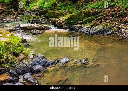 Waldfluss im Sommer. Wasser und Felsen in der Schlucht. Grüner Bach, der neben üppigen Bäumen durch die natürliche Landschaft europas fließt. Szene im Wald von Ukrai Stockfoto