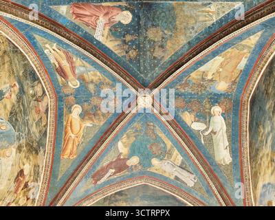 Fresko im papstpalast (palais des papes), einem mittelalterlichen gotischen Herrenhaus und einer Festung, Avignon, Frankreich. Stockfoto