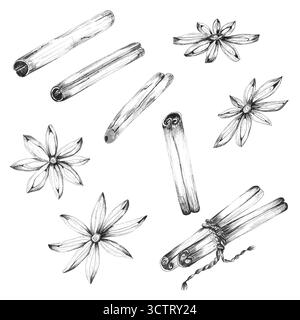 Ein Bündel von schwarz-weißen Tuschzeichnungen von Zimtstäbchen und Anissternen. Indische Gewürze monochromes Clipart. Strichgrafik. Handgezeichnete Tintenabbildungen Stockfoto