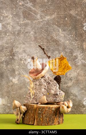 Einrichtung im Wald. Stilleben im natürlichen Stil - Stein, Holzstumpf, Pilz und gelbes Blatt. Herbstkonzept auf grauem Hintergrund. Kopierbereich Stockfoto