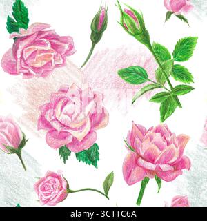 Handgezeichnete Musterabbildung mit Rosen für grafisches Design. Handgezeichnete farbige Bleistiftabbildung auf weißem Hintergrund. Stockfoto