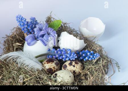 Eierschale mit Blumen im Nest. Keine Verschwendung, Unschärfe und selektive Fokussierung. Stockfoto