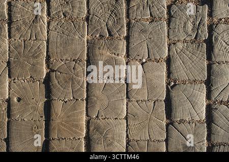 Die Textur einer alten, rissigen Holzfliese bei Kontrastsonnenlicht Stockfoto