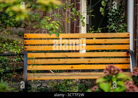 Leere Holzbank im Autumn Park – friedliche Herbstszene Stockfoto