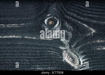 Textur des Holzhintergrunds mit Mustern des Holzhintergrunds Schwarze Textur natürlicher Hintergrund aufgenommen mit einer Sony a6700 Kamera mit einem 100-mm-Makro Stockfoto