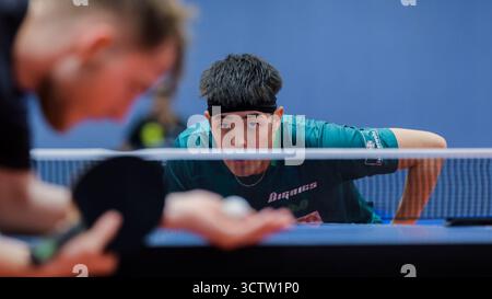 Düsseldorf, Deutschland. Oktober 2025. Tischtennis: Medientag, deutsche Tischtennismannschaft bei der Europameisterschaft, deutsches Tischtenniszentrum: Dang Qiu beim Training. Quelle: Rolf Vennenbernd/dpa/Alamy Live News Stockfoto