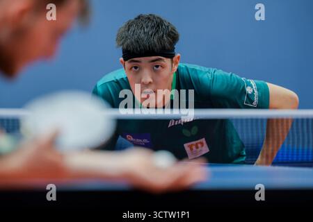 Düsseldorf, Deutschland. Oktober 2025. Tischtennis: Medientag, deutsche Tischtennismannschaft bei der Europameisterschaft, deutsches Tischtenniszentrum: Dang Qiu beim Training. Quelle: Rolf Vennenbernd/dpa/Alamy Live News Stockfoto