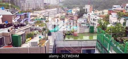 Ein Foto von Gamcheon Culture Village im Saha District, Busan, Südkorea. Die Gegend ist bekannt für ihre geschichteten Straßen, verwinkelten labyrinthartigen Gassen und hell bemalten Häuser, die in den letzten Jahren restauriert und ausgebaut wurden, um den Tourismus anzuziehen. Auf den Dächern, die an einem steilen Berghang gebaut wurden, befinden sich traditionelle koreanische Töpfe aus Steingut und verschiedene Topfpflanzen sowie moderne Satellitenschüsseln und Klimaanlage. Gamcheon Village wurde in den 1920er und 1930er Jahren erbaut, als die Stadtverwaltung von Busan beschloss, die Arbeiterbevölkerung in ein abgeschiedenes Gebiet zu verlagern Stockfoto