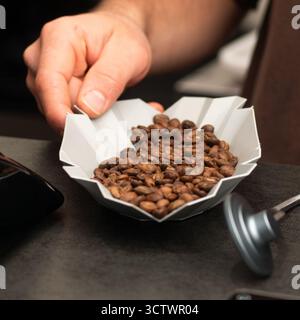 Hand hält geröstete Kaffeebohnen Nahaufnahme. Stockfoto