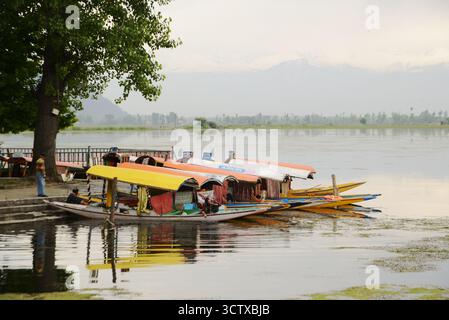 Jammu und Kaschmir , Indien - 9. Mai 2019 : Touristen Shikara Boote warten im Dal See in der Nähe von Nishat Garten Bagh ist eine beliebte Touristenattraktion. Stockfoto