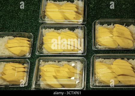 Mango-Kleberreis (Khao Niew Ma Muang) in einer Plastikbox. Thailändisches Streetfood-Dessert mit Mango und süßem Kleberreis, fertig zum Mitnehmen. Stockfoto