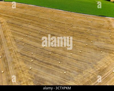 Drohnenansicht von runden Heuballen auf einem geernteten Feld im ländlichen Kent, England Stockfoto