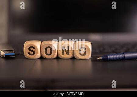 Mikrofon und Wortsingen isoliert auf weißem Hintergrund Stockfoto