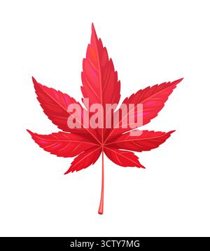 Cartoon herbstliches rotes Ahornblatt Stock Vektor