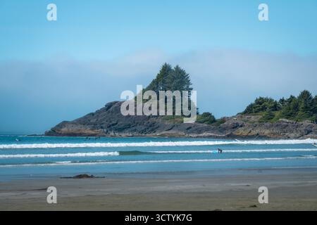 Surfer reiten an einem sonnigen Tag an einem Strand in Oregon mit felsigen Klippen und Kiefern im Hintergrund, die eine malerische Küstenlandschaft schaffen. Stockfoto