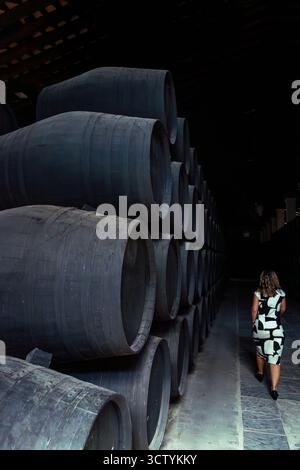 Junge Frau in einem weißen Kleid, die im dunklen Licht durch den Gang eines traditionellen Weinkellers mit hölzernen Sherry-Weinfässern in Reihe geht Stockfoto